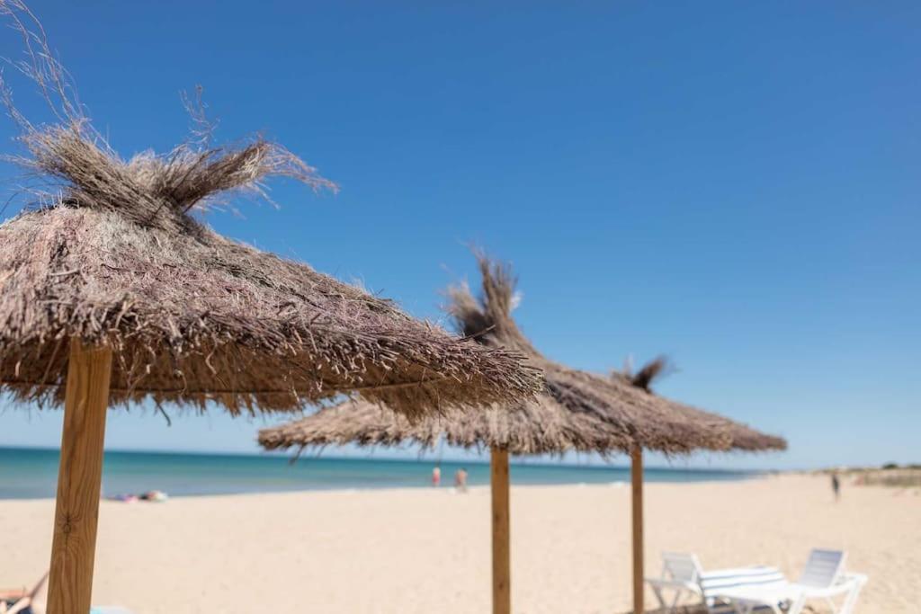 12-apartamento En La Playa Piscina *